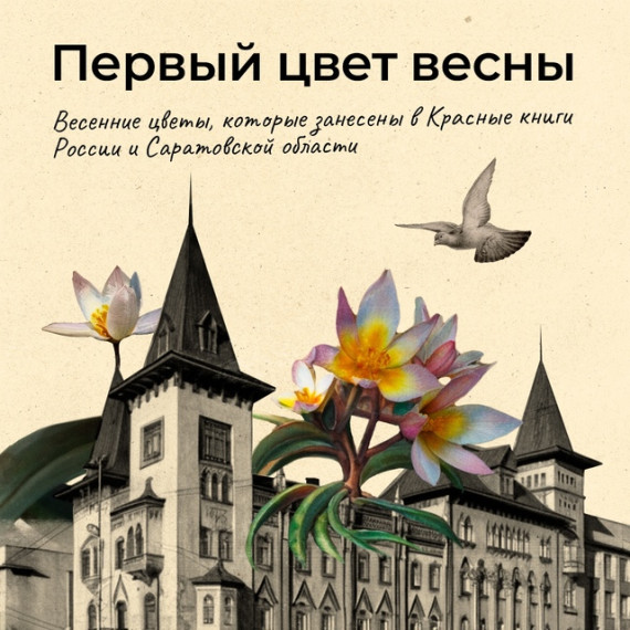 Весны первые цветы.